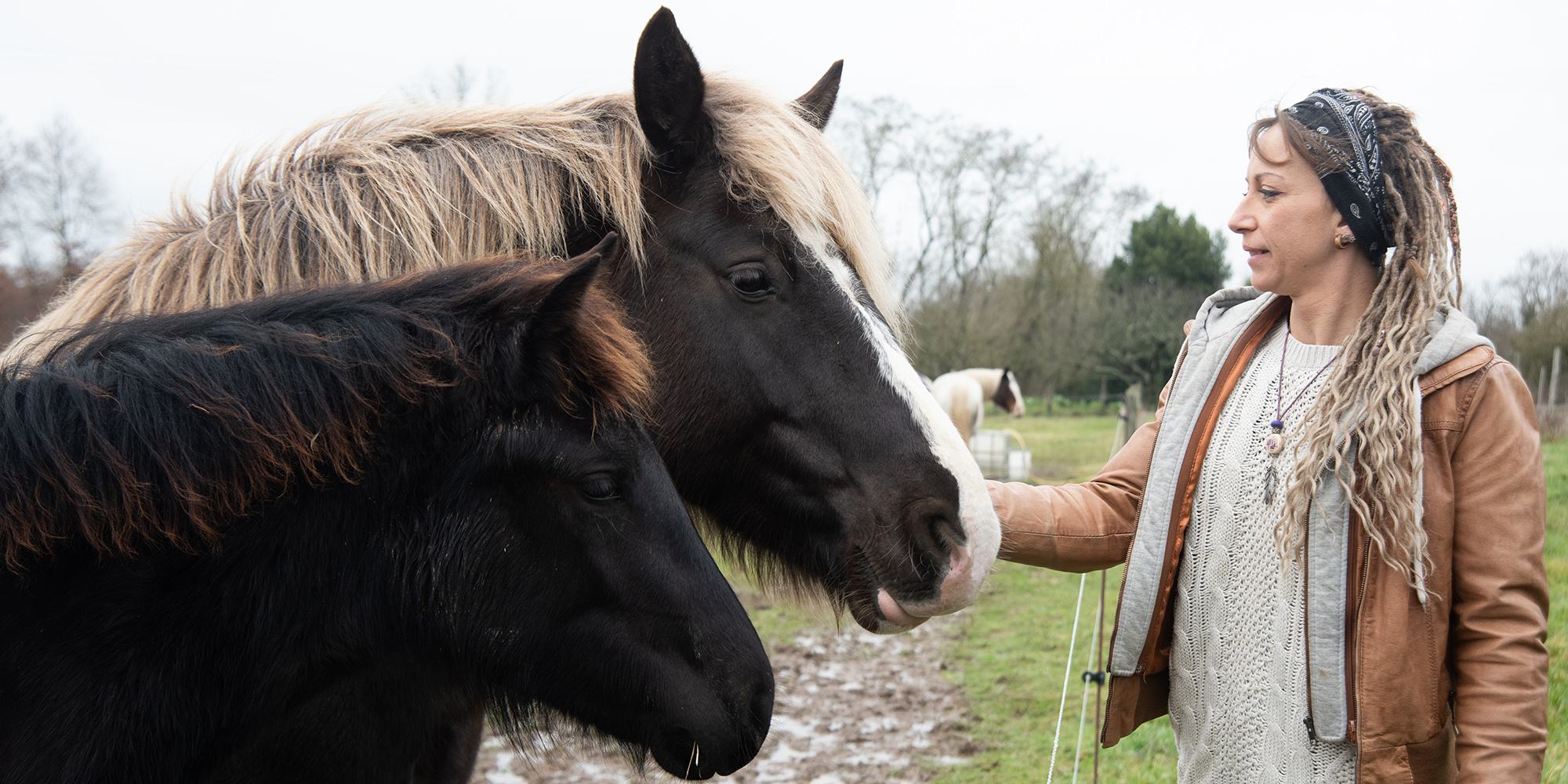 À propos - a-propos-laits-crins-de-nature